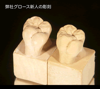 弊社グロース新人の歯型彫刻